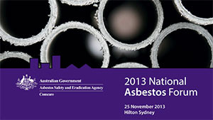 National-Asbestos-Forum-2013---BB-Presentation-1